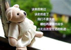 公司文化